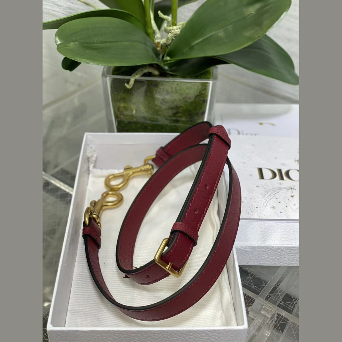 Dior Saddle 7.9" (20 cm)